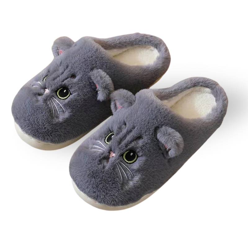 Pantufa Gatos