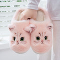 Pantufa Gatos