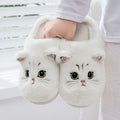 Pantufa Gatos