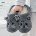 Pantufa Gatos